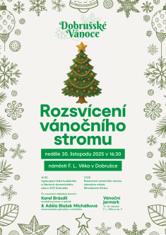 Rozsvícení vánočního stromu