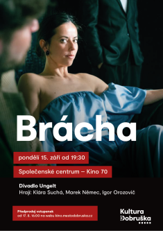 Divadelní představení Brácha