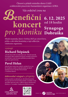 Benefiční koncert pro Moniku